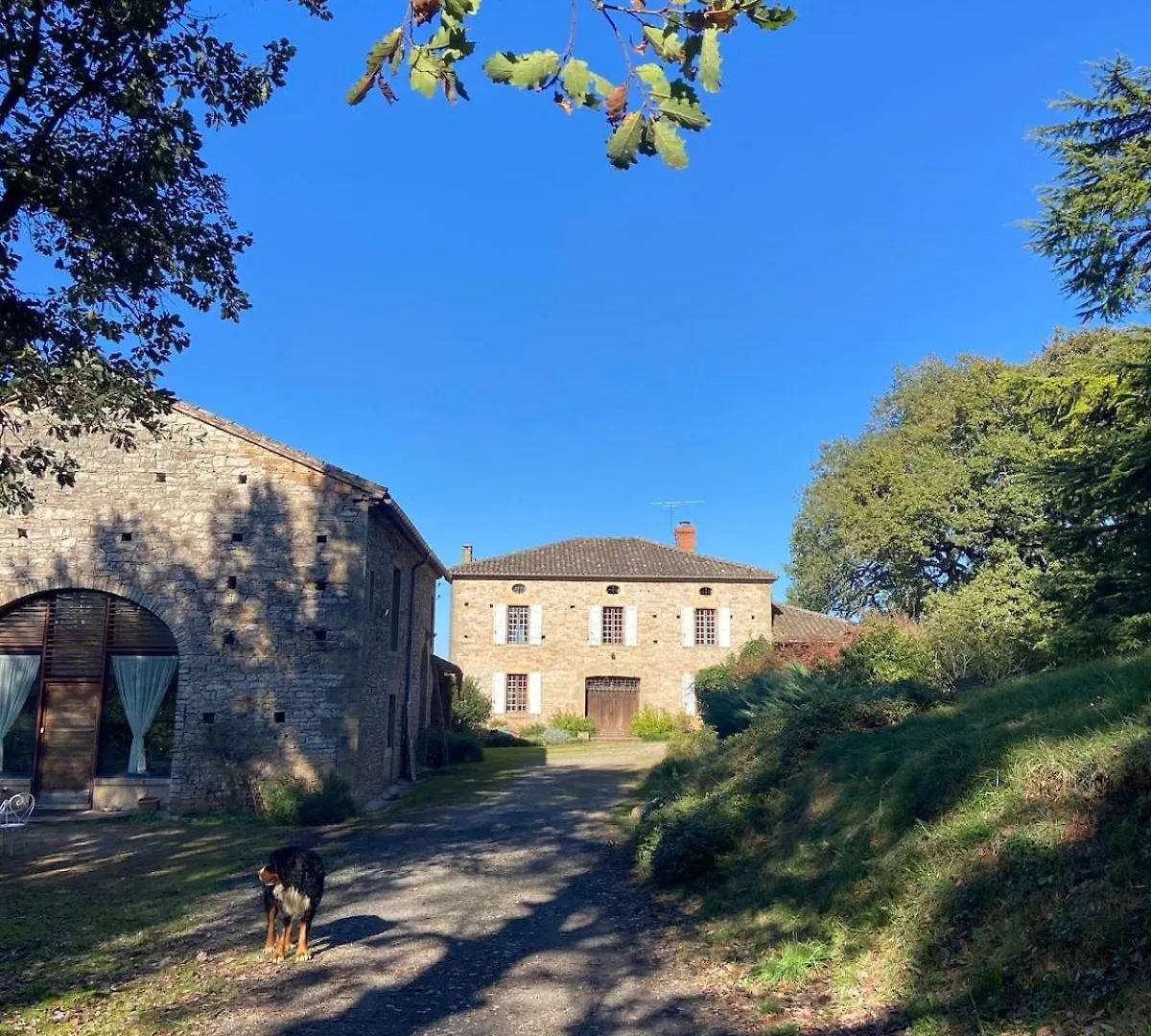 La Bastide De Meilhouret 別荘