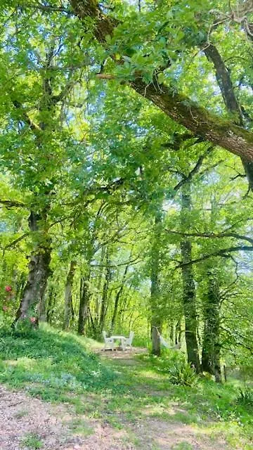 La Bastide De Meilhouret フランス