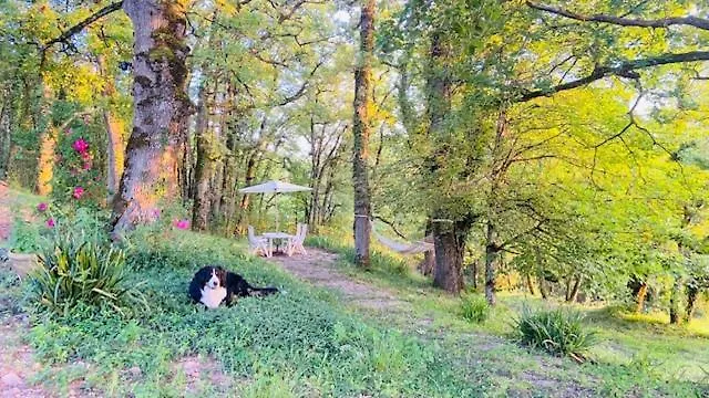 別荘 La Bastide De Meilhouret
